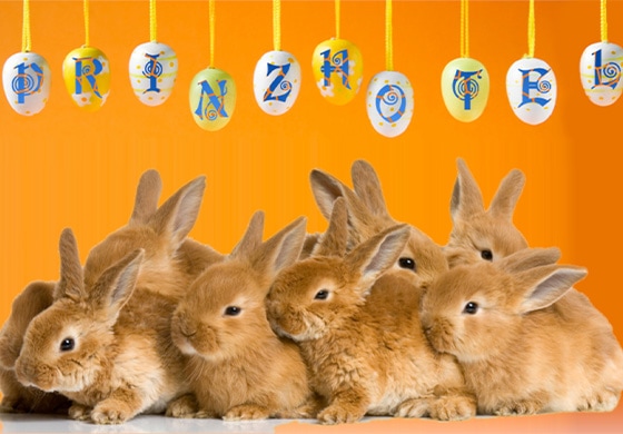 Easter Bunni Arrangement Rothenburg ob der Tauber Teaser