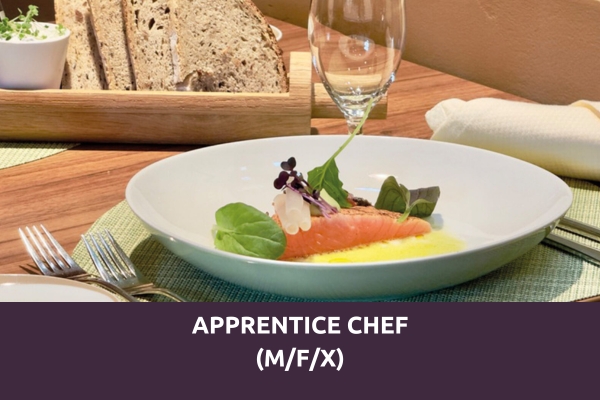 prinzhotel-rothenburg-apprentice-chef-1