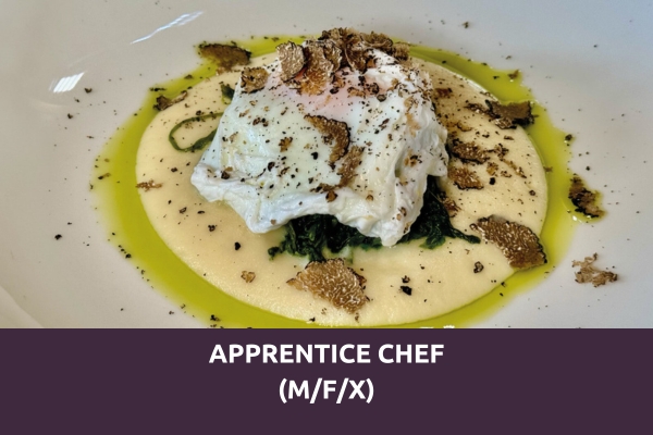 prinzhotel-rothenburg-apprentice-chef-3