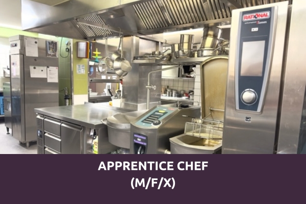prinzhotel-rothenburg-apprentice-chef-4