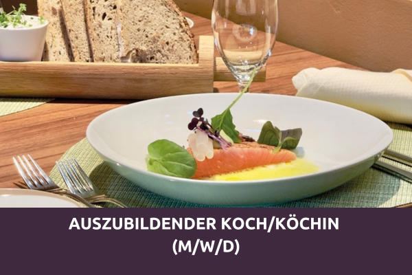 Vorspeise mit Lachs, Gemüse und Sauce – Ausbildung Koch/Köchin (m/w/d) im Prinzhotel Rothenburg ob der Tauber