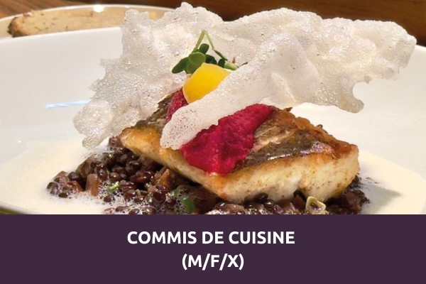 Kreatives Fischgericht mit Gemüse und Schaum – Karrierechance Commis de Cuisine (m/w/d) im Prinzhotel Rothenburg