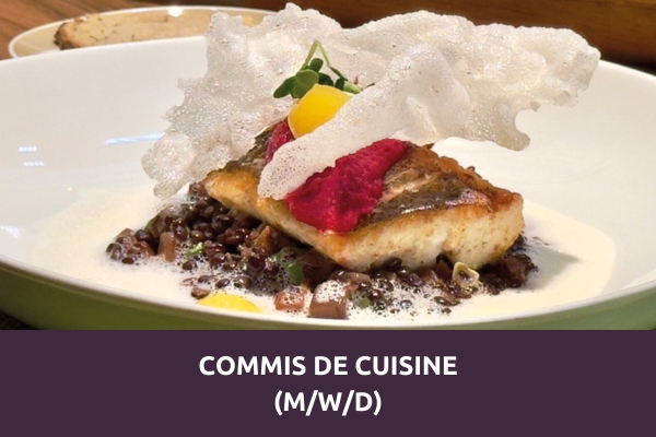 Kreatives Fischgericht mit Gemüse und Schaum – Karrierechance Commis de Cuisine (m/w/d) im Prinzhotel Rothenburg